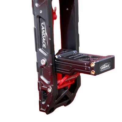 2021- ปีการติดตั้ง Land Rover Disปิดบังy 4 Auto Side Step สําหรับ Ford Expedition 2022